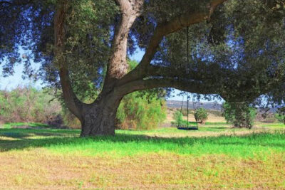 2,000 acre ranch
