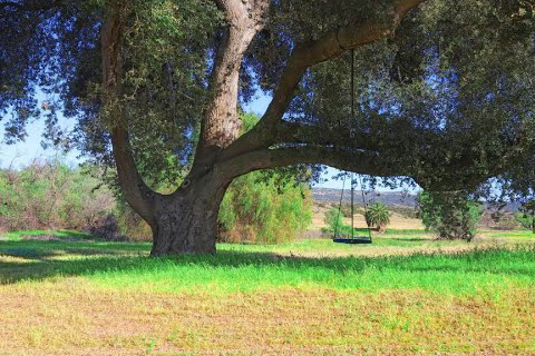 2,000 acre ranch
